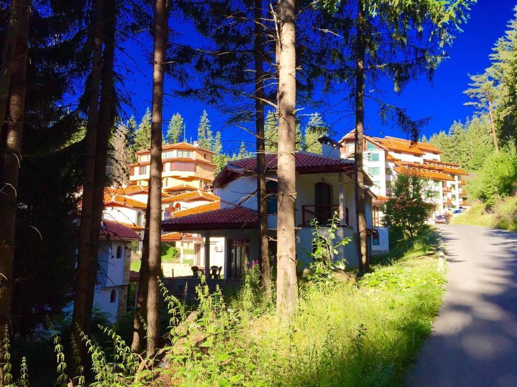 Forest Glade-Апартаменти И Стаи За Гости Pamporovo Bagian luar foto