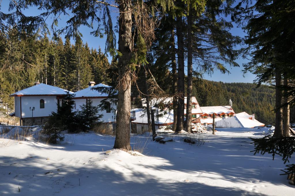 Forest Glade-Апартаменти И Стаи За Гости Pamporovo Bagian luar foto