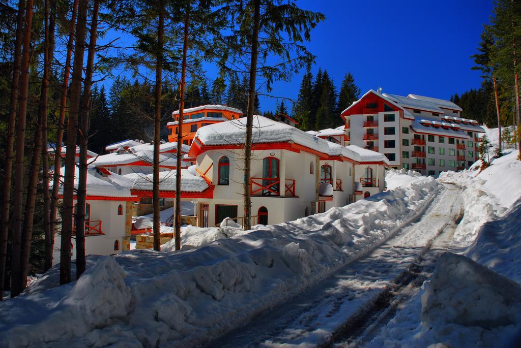 Forest Glade-Апартаменти И Стаи За Гости Pamporovo Bagian luar foto