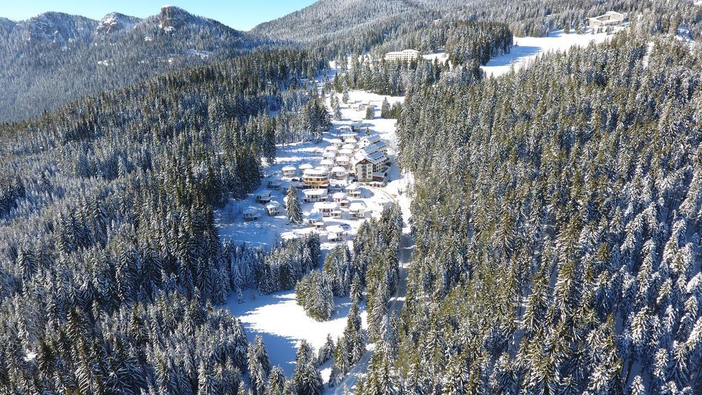 Forest Glade-Апартаменти И Стаи За Гости Pamporovo Bagian luar foto
